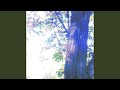 Meaning of Disappear