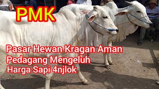 Pedagang Sapi Mengeluh‼️ Harga Sapi 4njlok‼️ Pasar Hewan Kragan Rembang Jawa Tengah