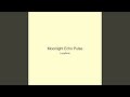 Moonlight Echo Pulse
