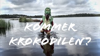 Kommer krokodilen