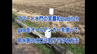 スマート水門の笑農和paditch gateをオールアンカーを使って 用水側の水口に取り付ける方法について。　1日1本 149本目