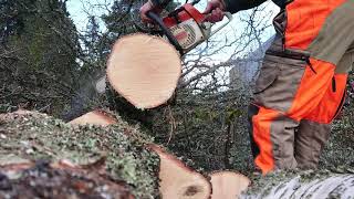 Stihl 026 bucking birch, 1997 modell. , Stihl RS 0.325, 1,5 mm 13 \