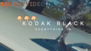 Kodak black "Everything 1k"(starring danielle bregoli "cash me ousside")(whshh exclusive)