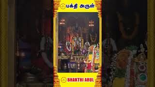 சனிக்கிழமை அருள்மிகு ஸ்ரீவேங்கட கிருஷ்ணன் திருக்கோவில் KGFபெருமாள் காட்சி அளிக்கிறார் | Bhakthi Arul