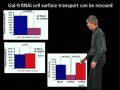 Kai Simons (MPI) Part 3: Biogenesis of glycolipid-rich apical membranes