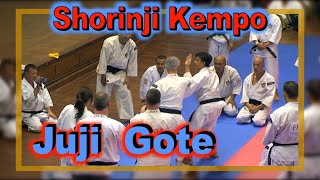 Secret techniques Juji Gote, Nuki, Shorinji Kempo. Sensei Yamasaki, Kawashima. 少林寺拳法. 武道少林寺拳法