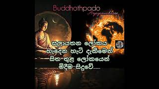 ලෝකය සිත තුළින් දැක මිදිය යුතුය.