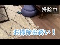 自動お掃除ロボ犬トッティ🐶