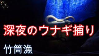 5月 深夜のウナギ捕り（竹筒漁）