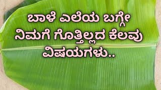 ಬಾಳೆ ಎಲೆ ಉಪಯೋಗಗಳು | useful information in kannada | Banana leaf benefits | #usefulinformation