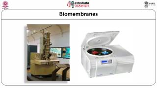 Biomembranes I