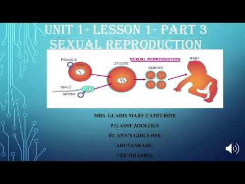 Sexual Reproduction Bio-Zoology Zoology 12 STD State Board - YouTube