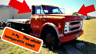 New Chevy C-50 Build!!!