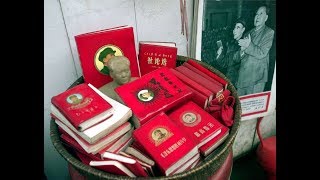 媒体观察：中国教科书删文革，如何叙述历史？