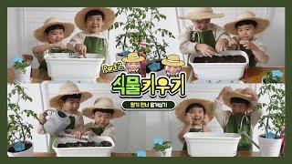 식물키우기 2탄 - 딸기 런너 옮겨심기 [쭈쭈형제TV] 20201209