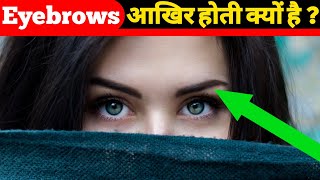 आखिर Eyebrows का काम क्या है ? | amazing facts | interesting facts | #shorts