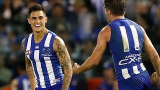 Round 2, 2017 - North Melbourne v Geelong highlights