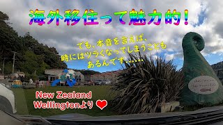 ニュージーランド在住３１年の私が語る「海外移住のメリットとデメリット」　　‐　2022年8月　NZの首都・ウェリントンより