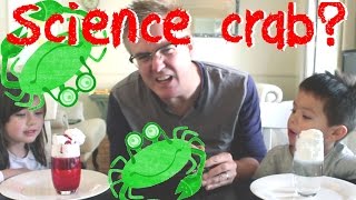 Simple science experiments for kids - part 1 - rain in a cup