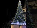 【岡山県】xmasツリー