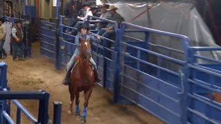 Stevi Hillman | 2023 NFR Round 2