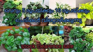 stock clearence sale || 5 to 10 rs plants || #kodungallur || Video#275