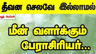 தீவன  செலவே  இல்லாமல்  மீன் வளர்க்கும் பேராசிரியர்|fish farming in tamilnadu