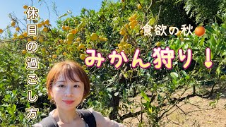 山に行かない日|丹沢の麓。食欲の秋、みかん狩り！