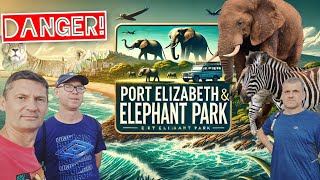 Port Elizabeth.  Addo Elephant National Park. It is one of the most dangerous cities in the world.