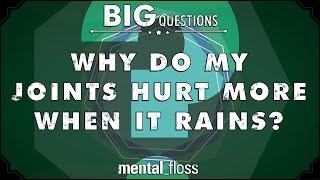 Why do my joints hurt more when it rains? - Big Questions - (Ep. 203) | Mental Floss
