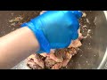 cambodian fermented pork mr u0026 mrs chickenbang cooking show downunder english voice over