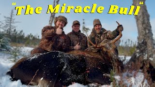 Moose Hunting in Newfoundland - The Journey of a Late Season “ Miracle Bull “ !