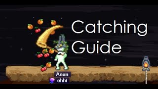 IdleOn Catching Build & Guide  - Easy Fruitfly Farming