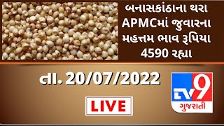 Mandi: બનાસકાંઠાના થરા APMCમાં જુવારના મહત્તમ ભાવ રૂપિયા 4590 રહ્યા | TV9news