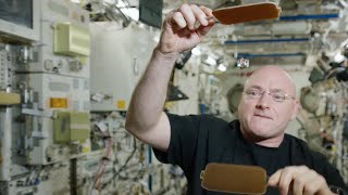 Watch NASA's Scott Kelly Play Pingpong With A Water Droplet In Space - Newsy