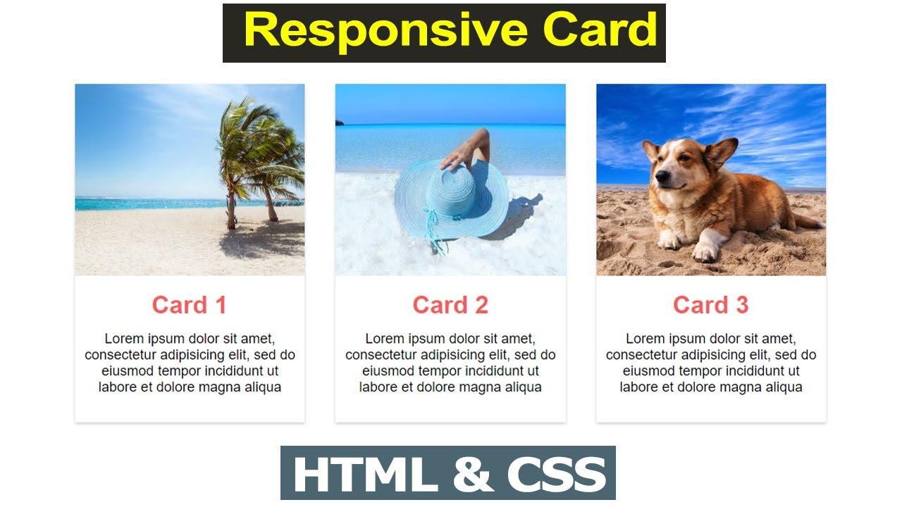 Responsive Card Design | Web Development For Beginners | HTML & CSS ...