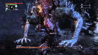 bloodborne 深度5 放血怪獸 level.80