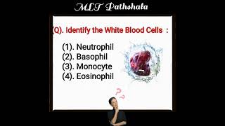 Lab Technician Questions ⚕️ MLT MCQ 🧫 MLT Pathshala ❣️ Hematology MCQ