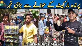 Lalukhet Sunday Birds Market 09-04-2023 Latest Update | Big News Regarding Bird Market @SYED BIRDS