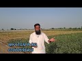 april se kon c fasal lgaen aur kese important tips for profitable farming ir farm