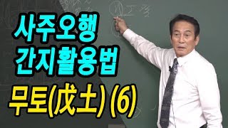 [대통인.com] 무토(戊土) 사례 분석(6) : 사주오행 간지 활용법 - 지정도 선생님