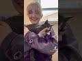 chaotic animal tiktok compilation