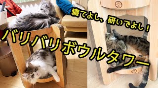 一気に猫を2匹収納！？バリバリボウルタワー