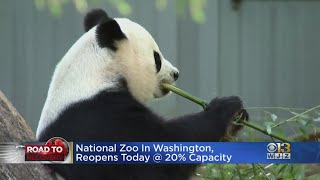 National Zoo In Washington DC Reopens Friday At 20% Capacity