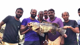 ഹാർബർ ഇളക്കിമറിച്ച അമൂർ പിടുത്തം😍🐟🎣| groper fishing#chemmeenkudam