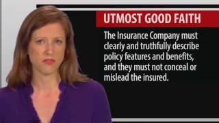 3   Legal Concepts of the Insurance Contract