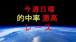 【競馬】朝日杯じゃなくてこっち！？今週日曜の狙い目を解説！