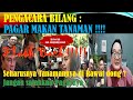 🔴PENGACARA BAIM WONG BILANG BEGINI❗❗PAGAR MAKAN TANAMAN❗SEHARUSNYA  TANGGUNG JAWAB SEBAGAI NAHKODA❗❗