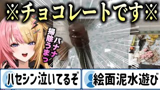 天才的な発想でチョコレートの滝を作り上げるコトカ【KotokaTorahime/にじさんじ切り抜き/虎姫コトカ/コトコトクッキング】