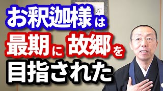 お釈迦様は、最期に、故郷を目指された。　ショート法話(250)